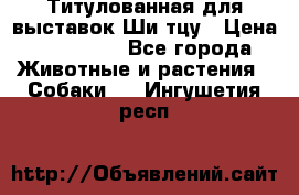 Титулованная для выставок Ши-тцу › Цена ­ 100 000 - Все города Животные и растения » Собаки   . Ингушетия респ.
